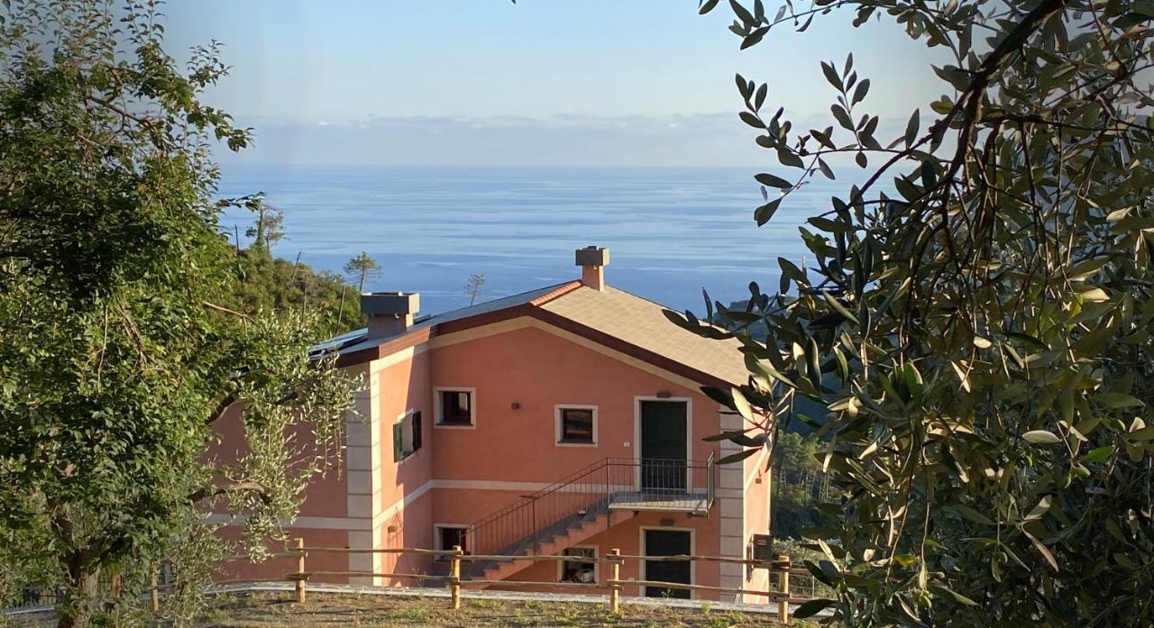 Agriturismo Missanega Monterosso al Mare Exteriör bild